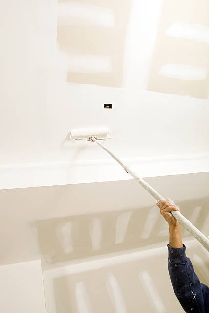 Professional Drywall & Painting Services in Plymouth, CA